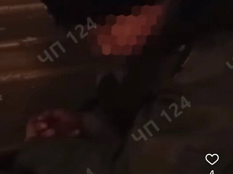 «Должностных лиц наказывать не будут»: администрация Железногорска не увидела состава преступления в действиях родителей 10-летнего ребенка, которого выгоняли в подъезд. Фото: ЧП 124