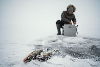На севере Красноярского края у браконьеров изъяли рыбу почти на полмиллиарда рублей 