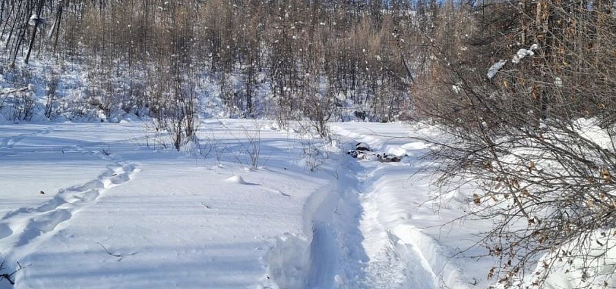 Тела пропавших отца и сына нашли в 50 километрах от поселка в Красноярском крае 