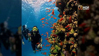 «Египетская сила» — финал проекта: что делать красноярцам в Египте, если лежать на пляже надоело