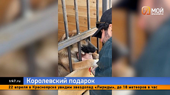 Королевский подарок от Филиппа Киркорова получили приюты Красноярска