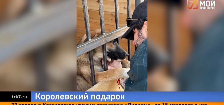 Королевский подарок от Филиппа Киркорова получили приюты Красноярска