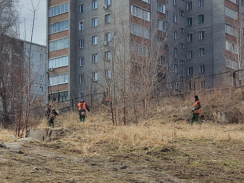 На 30 участках в Красноярске провели покос и уборку сухой травы. Фото: администрация Красноярска