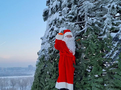 В красноярском Татышев-парке Дед Мороз залез на ёлку. Фото: t.me/tatyshev_park
