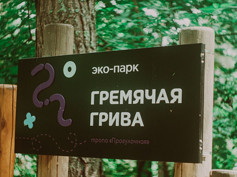 В красноярском эко-парке «Гремячая грива»‎ готовятся к обработке от клещей. Фото: Даниил Войцеховский