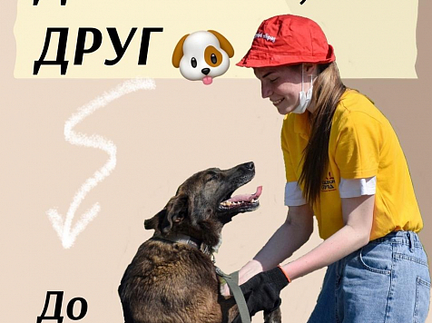 В Красноярске проходит акция по сбору помощи животным. Фото: https://vk.com/krasnoyarskrf
