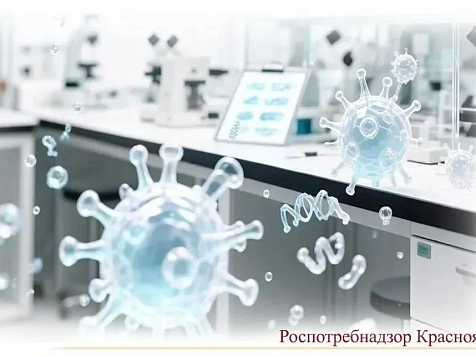 В Красноярском крае начала спадать активность ОРВИ. Фото: Роспотребнадзор Красноярск