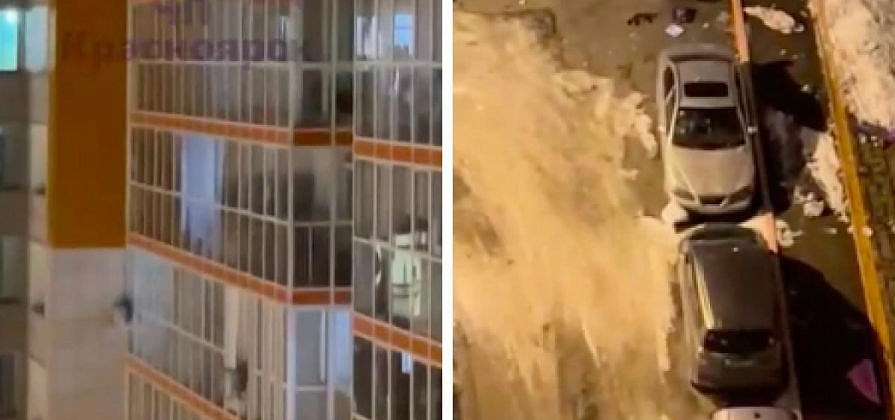 Красноярка выбросила из окна многоэтажки своих домашних питомцев