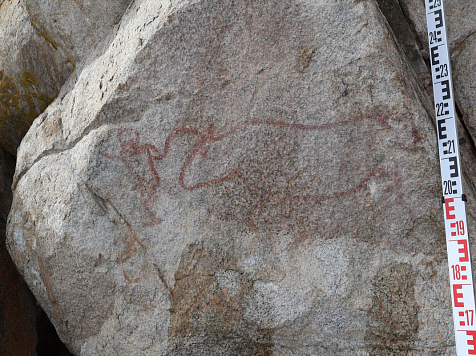В Красноярском крае нашли странный наскальный рисунок возрастом 4 тысячи лет. Фото: Александр Заика/rgo.ru