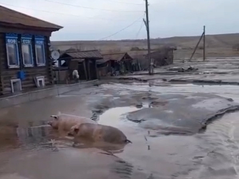 Росреестр и Роскадастр опубликовали топ самых смешных названий деревень: Красноярский край не попал в этот рейтинг