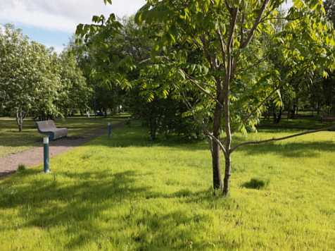 В Красноярске после благоустройства открылся парк арт-резиденции «Каменка». ﻿Фото: Правительство Красноярского края / Александр Черных