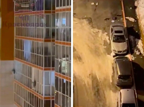 Красноярка выбросила из окна многоэтажки своих домашних питомцев. Фото: ЧП Красноярск