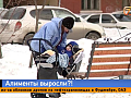 Красноярцы испугались, что с марта придётся платить алименты в 2–3 раза больше