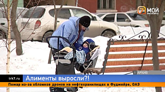 Красноярцы испугались, что с марта придётся платить алименты в 2–3 раза больше