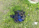 В Емельяновском районе дачник поджёг свои штаны и садовый домик во время замены газового баллона