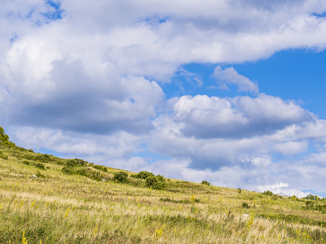 В Красноярске 9 августа в среду днём ожидается +28°C. Фото: ru.freepik.com