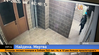 Лес молчал семь месяцев — исчезновение красноярской студентки получило трагическую развязку