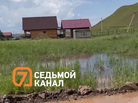 В Красноярске 68-летний пенсионер застрелил соседского той-терьера из-за громкого лая. Фото: 7 канал Красноярск