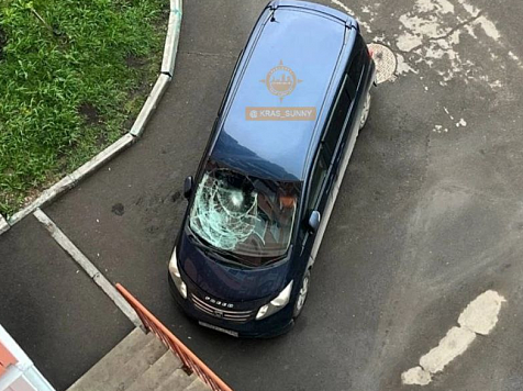 В Красноярске огромный кот выпал из окна и разбил лобовое стекло «Хонды». Фото и видео: Наш мкр. Солнечный / Telegram