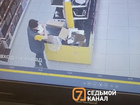 Обезьяна в памперсе атаковала сотрудника красноярского дискаунтера. Видео: 7 канал Красноярск
