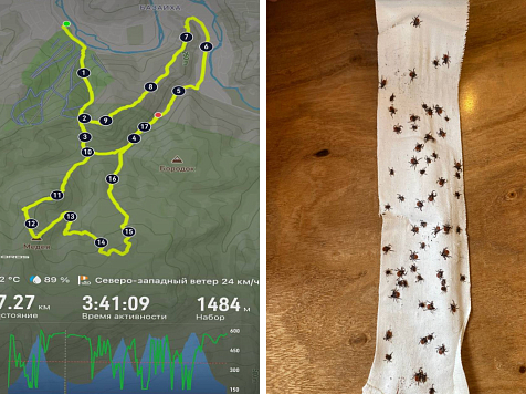 На красноярских «Столбах» бегун снял с себя 62 клеща. Фото: «Бал Дебютанток»