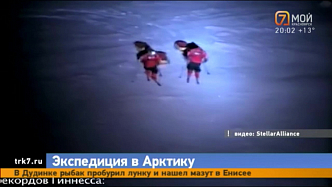 Красноярские школьники отправятся в Арктику 