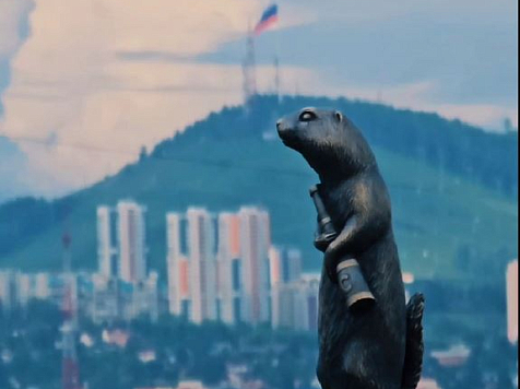 Новый бронзовый суслик по кличке Страж появился на Караульной горе в Красноярске . Фото/видео: Андрей Максимов