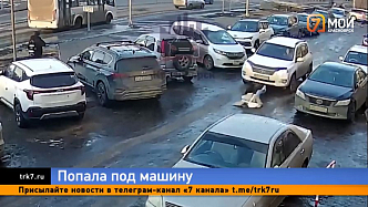 На Судостроительной девочку протащило под машиной на глазах у прохожих