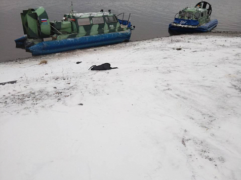 В Красноярском крае катер насмерть задавил 50-летнего мужчину . Фото: МВД