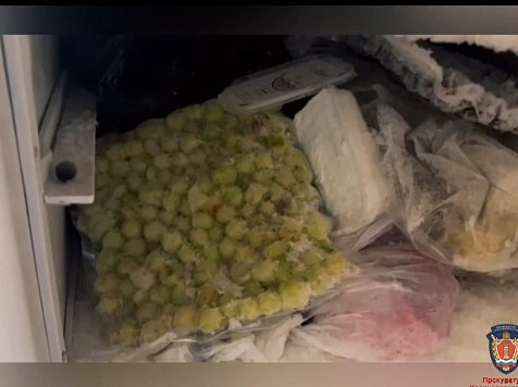 Общепит, но это не точно: в красноярском ночном клубе уничтожено 90 кг просрочки. Фото: прокуратура Красноярского края