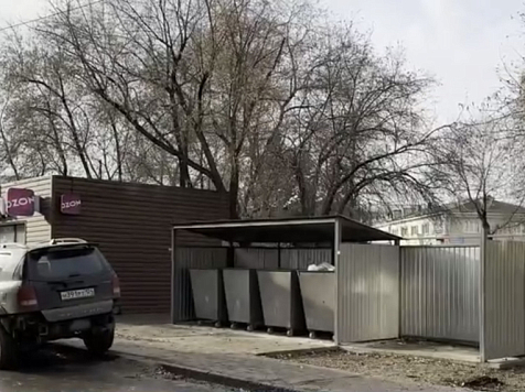 В Красноярском крае стартует масштабная акция по уничтожению крыс. Фото: 7 канал Красноярск