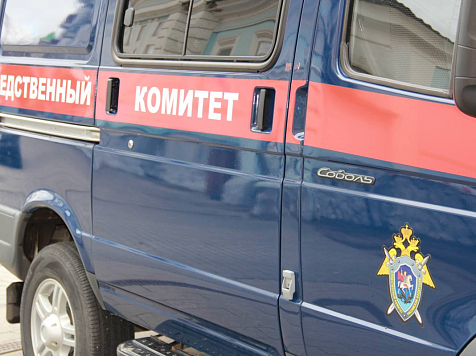 Восемь собак терзали школьницу в поселке Шира и теперь их хозяйка пойдет под суд. Фото: ГСУ СК РФ