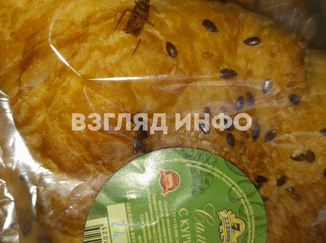 Жителю Курагинского района продали самсу с тараканом. Фото: Взгляд.инфо