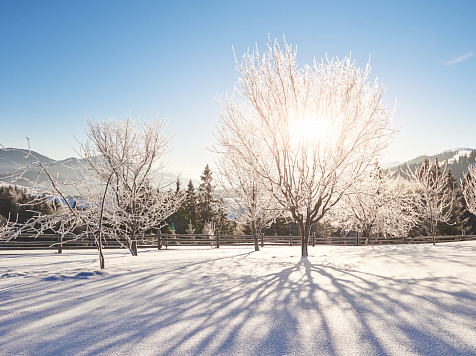 В Красноярске 7 марта ожидается +3 градуса тепла днем 