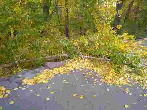 В Красноярске сильный ветер повалил деревья, снёс остановки и вырубил свет . Фото: "7 канал",&nbsp;vk.com/kraschp,&nbsp;vk.com/live_kras