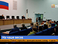 Спор о жизни и смерти — в Красноярске решали судьбу закона об эвтаназии собак