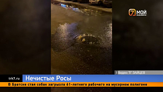 Фонтан нечистот забил ночью в красноярских Белых Росах