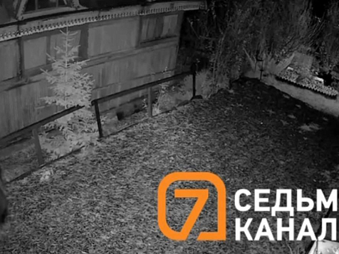 В СНТ «Спартак» под Красноярском медведи гнут заборы и ходят по ночам. Видео: 7 канал Красноярск