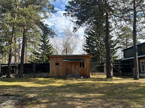 В Удачном продают участок с соснами за 47 миллионов рублей. Фото: elitekrsk. ru