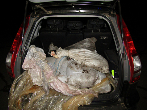 В Красноярском крае браконьер убил краснокнижного лося. Фото: 24.мвд.рф