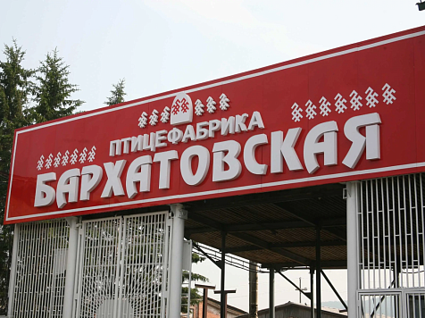 Красноярские власти решили сохранить «КНП» и Бархатовскую птицефабрику в собственности края. Фото: Птицефабрика «Бархатовская»