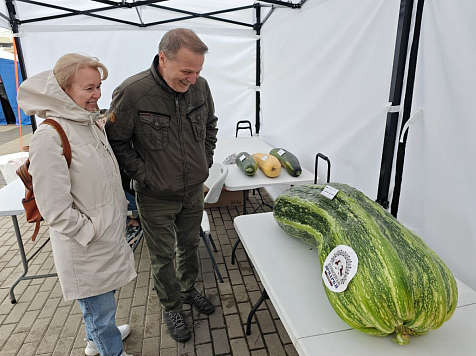 В Красноярске выбрали самые большие тыквы и кабачки в «Битве титанов». Фото: администрация Красноярска