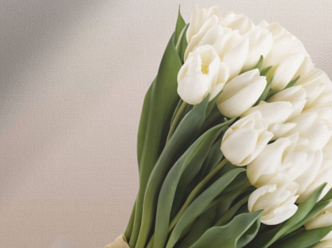 Как выбрать и сохранить тюльпаны на 8 марта — рассказали красноярские специалисты. Фото: Роспотребнадзор Красноярск