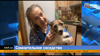 Красноярец жестоко избил пенсионерку из-за собаки
