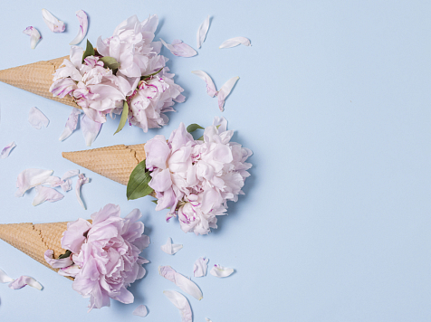 В Красноярске в понедельник 1 мая ожидается похолодание до +5°C. Фото: ru.freepik.com