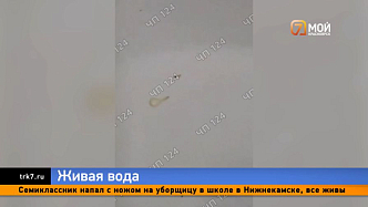 В Заозёрном из кранов пошла вода с личинками