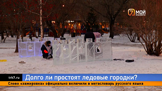 Сколько простоят ледовые городки и опасна ли массовая дератизация для домашних животных в Красноярске?