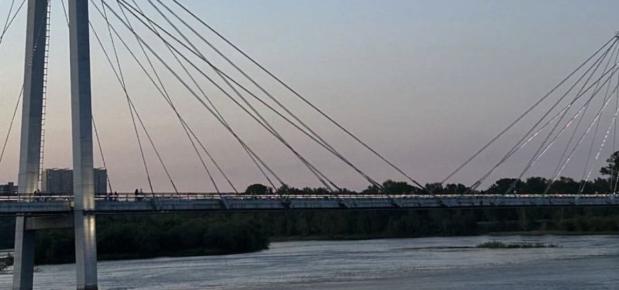 «Ребенок был против перевода»: руководство красноярского лагеря ответило на обвинения в избиении 7-летней девочки
