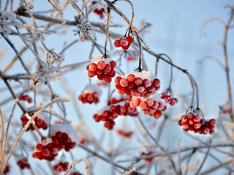 В Красноярске на выходных ожидаются морозы до -25 градусов и снег. Фото: pixabay.com