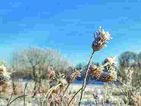 В Красноярск пришло резкое похолодание. Фото: "7 канал"